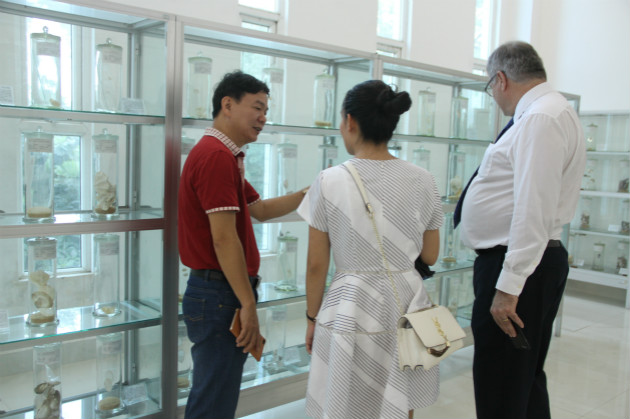 1504835310138209.jpg 英国上市公司365